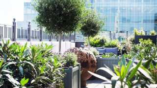 Eight Moorgate: the roof terrace