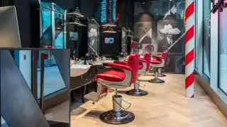 Ted's Grooming Room