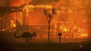 Australia fires