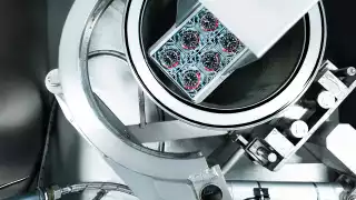 Tudor Watches water pressure test