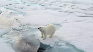 Spitsbergen