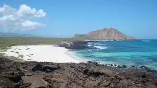 Galapagos