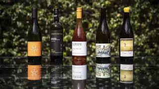 Orange wines