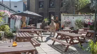 Best pubs in London Bridge – The Horseshoe Inn