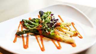 Grilled Asparagus with honey and mustard vinaigrette