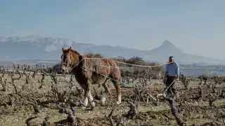 Artadi winery in Spain