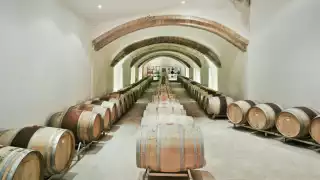 Artadi winery in Spain