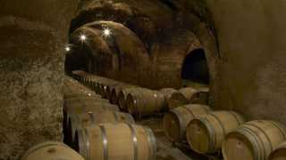 Artadi winery in Spain