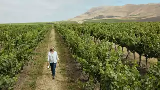 Jill Russell, winemaker, Cambria Estate Winery