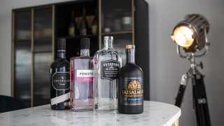 Aviation Gin, Cotswolds Dry Gin, Jaisalmer Gin, and Pinkster Gin