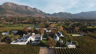 Steenberg Vineyards and Winery, South Africa