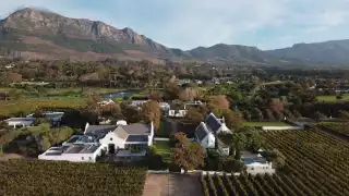 Steenberg Vineyards and Winery, South Africa