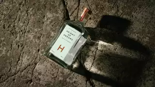 Height of Arrows gin