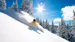 Skiing down Blue Sky Basin at Vail Resorts