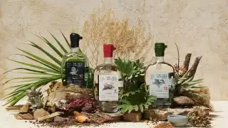 The Lost Explorer mezcal