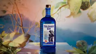 Tulchan gin