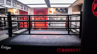 BuddhaBox Boxing Gym