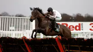 ico de Boinville riding Constitution Hill goes on to win the Unibet Tolworth Novices' Hurdle (Grade 1) (GBB Race) at Sandown Park Racecourse.