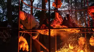 Tom Kerridge's fire feast at Wilderness Reserve