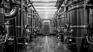 Gravity-fed Winery at Hambledon Vineyard
