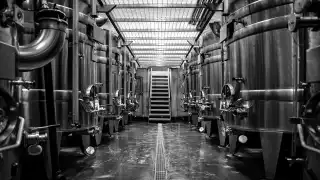 Gravity-fed Winery at Hambledon Vineyard