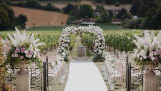 Wedding at Hambledon Vineyard