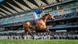 Frankie Dettori, Royal Ascot, Gold Cup, Courage Mon Ami