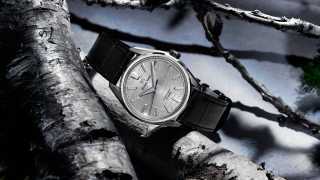 Grand Seiko Birch Bark Titanium Hi-Beat SLGW003 watch
