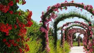 Finca Cortesin features gardens designed by English landscaper Gerald Huggan