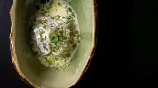 Salsify at the Roundhouse