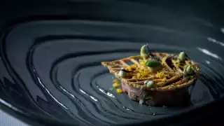 Salsify at the Roundhouse