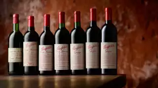 Penfolds Grange 2021 vintage – Australian wine