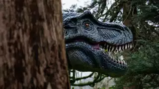 Ynyshir T-Rex