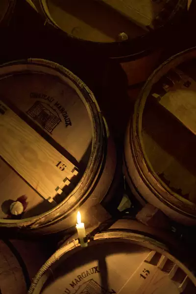 Inside Chateau Margaux's famous vineyard