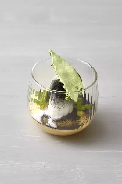 Terra Mundo