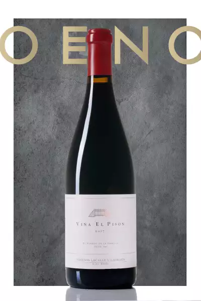 Artadi winery in Spain