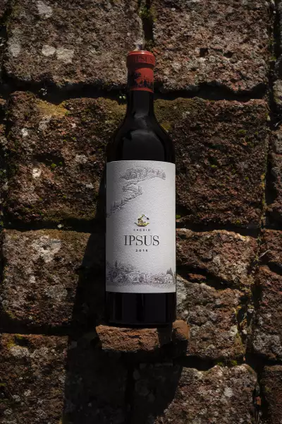 Ipsus 2015