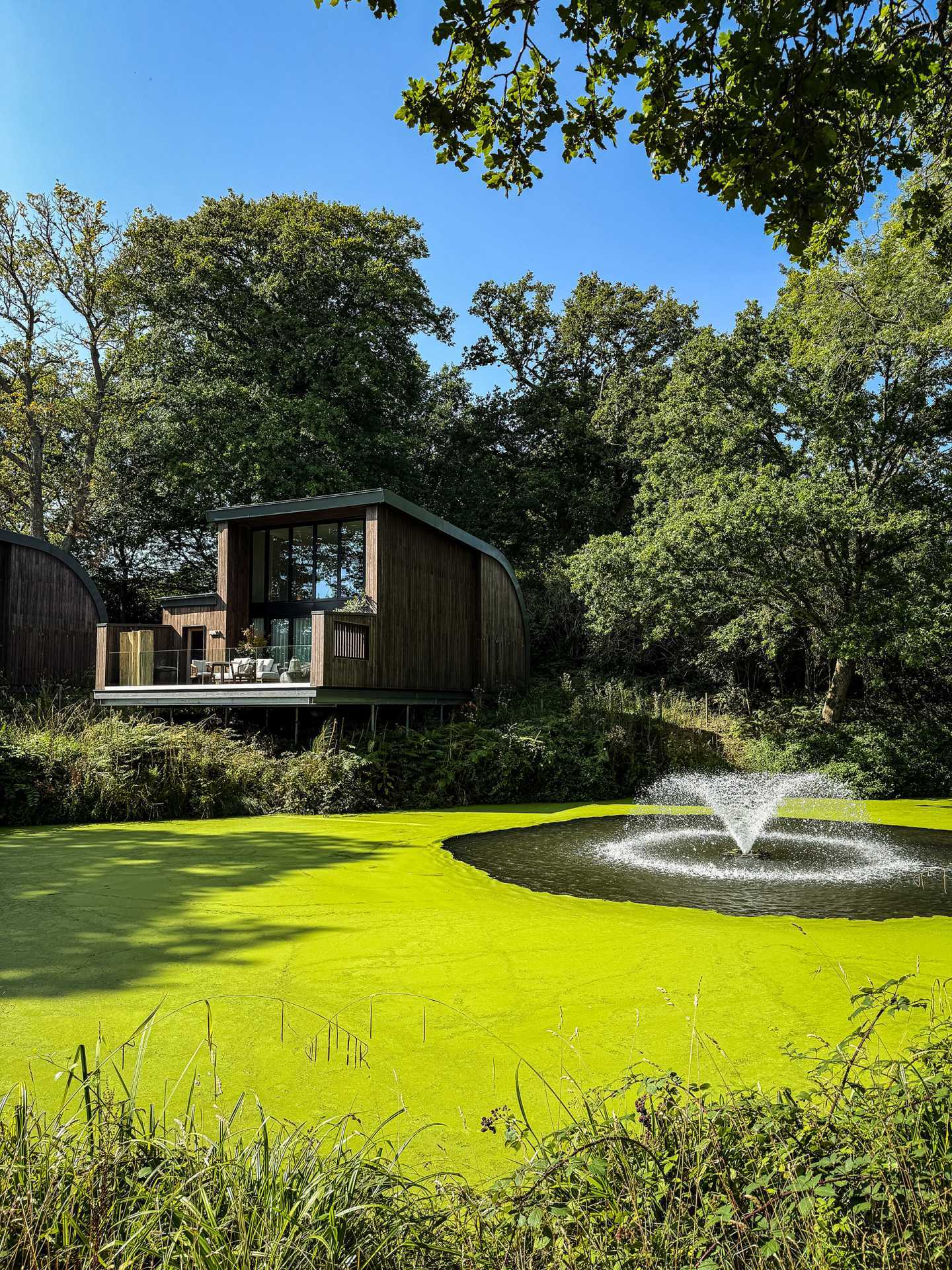 The Reeds at South Lodge