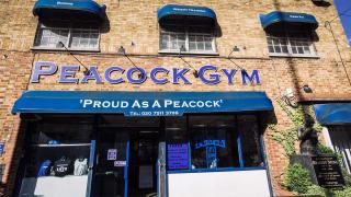 Peacock Gym