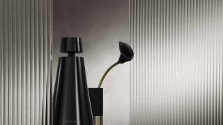 Bang & OLufsen Bang & OLufsen