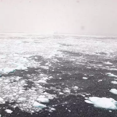 Antarctic Landscape