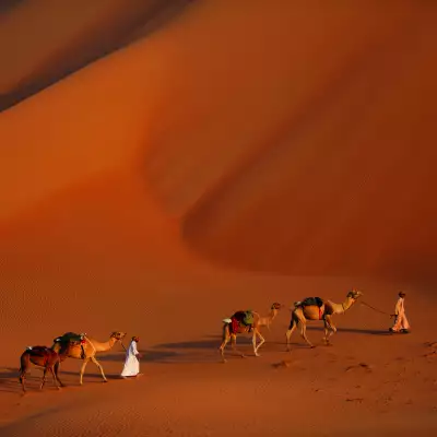 Levison Wood