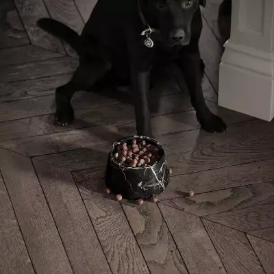 Vasoni Marble Dog Bowls