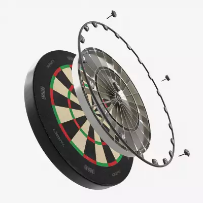 Target Aspar Professional Dartboard
