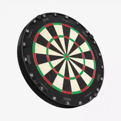 Target Aspar Professional Dartboard