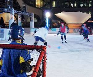 Broomball_widget