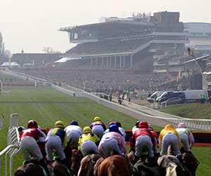 apmccoy_widget