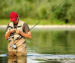 Westminster Fishing