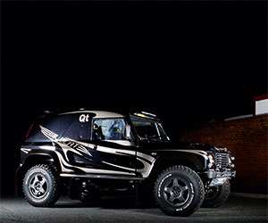 Wildcat
