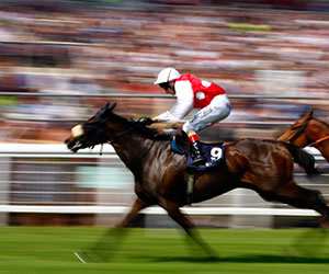 Invest in a racehorse